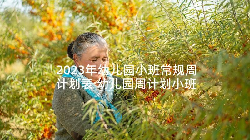 2023年幼儿园小班常规周计划表 幼儿园周计划小班(大全7篇)