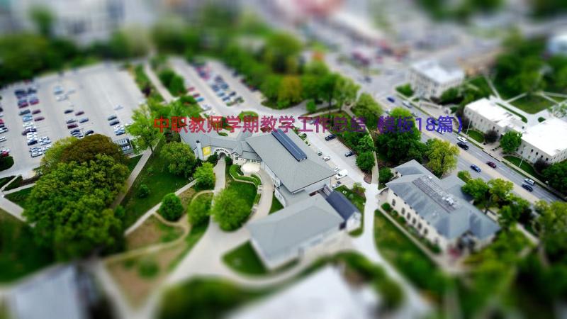 中职教师学期教学工作总结（模板18篇）