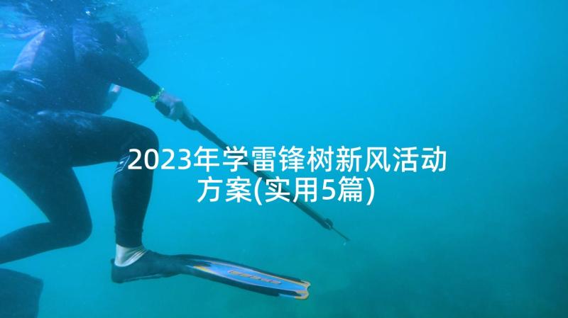 2023年学雷锋树新风活动方案(实用5篇)