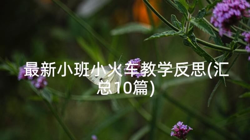 最新小班小火车教学反思(汇总10篇)