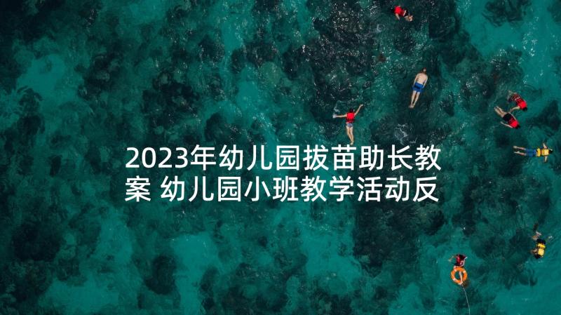 2023年幼儿园拔苗助长教案 幼儿园小班教学活动反思(大全5篇)