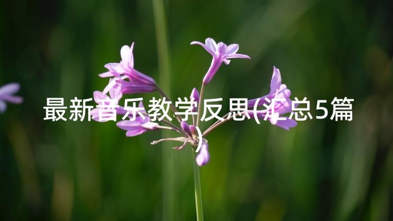 最新音乐教学反思(汇总5篇)