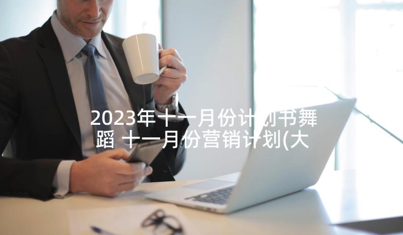 2023年十一月份计划书舞蹈 十一月份营销计划(大全7篇)