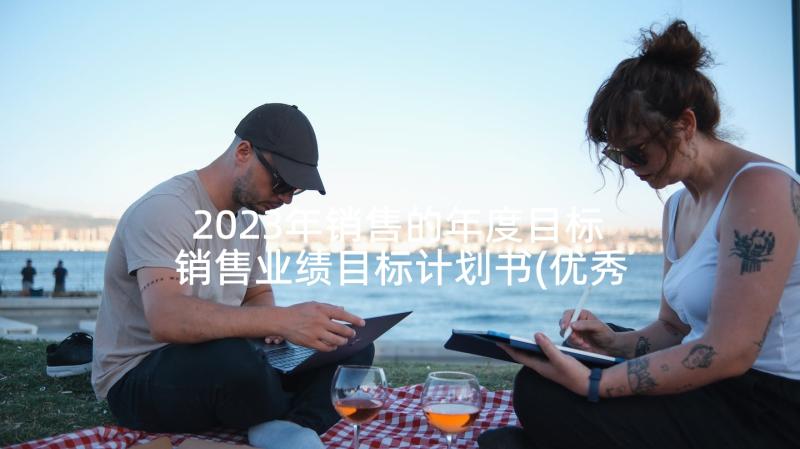 2023年销售的年度目标 销售业绩目标计划书(优秀9篇)