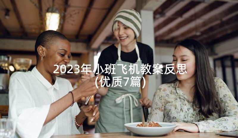 2023年小班飞机教案反思(优质7篇)