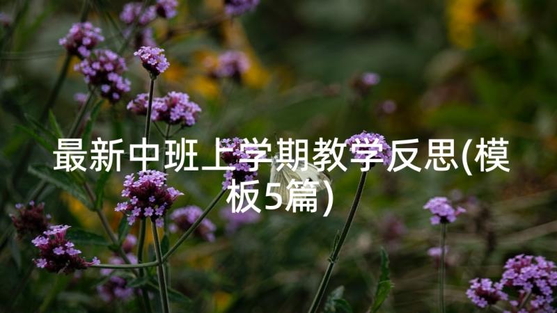 最新中班上学期教学反思(模板5篇)