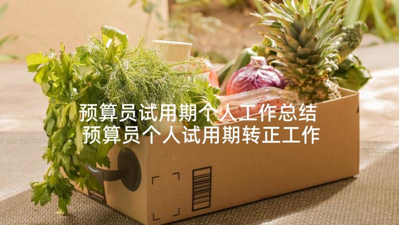 预算员试用期个人工作总结 预算员个人试用期转正工作总结(优质5篇)