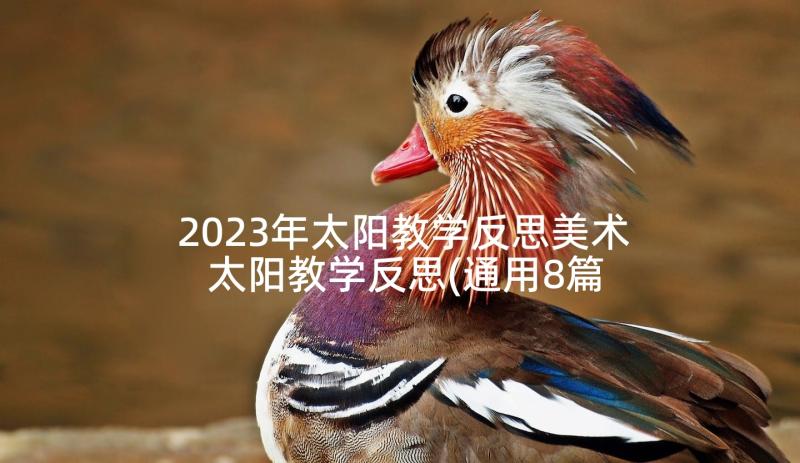 2023年太阳教学反思美术 太阳教学反思(通用8篇)