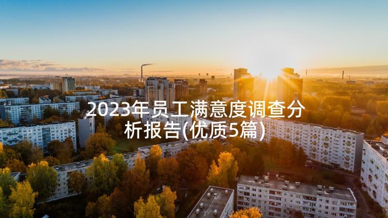 2023年员工满意度调查分析报告(优质5篇)