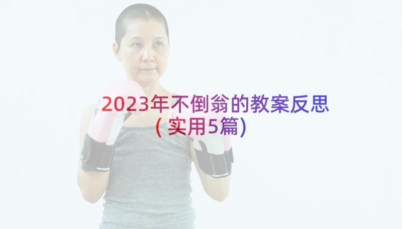 2023年不倒翁的教案反思(实用5篇)