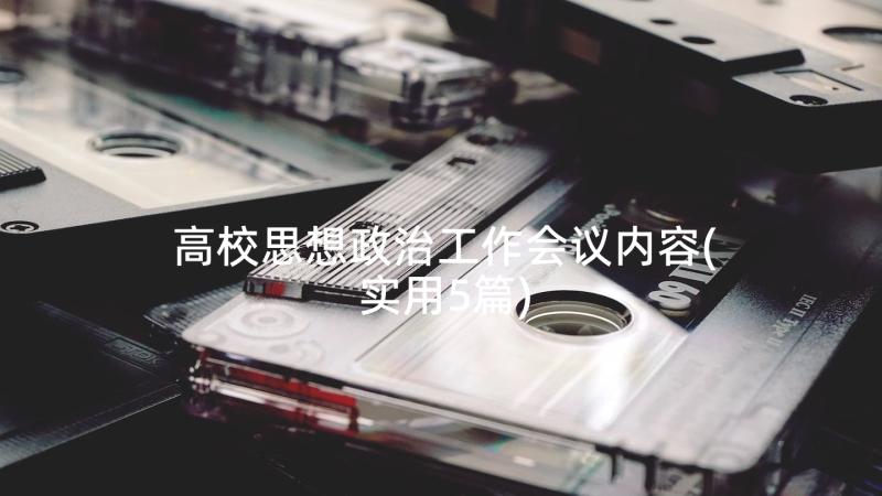 高校思想政治工作会议内容(实用5篇)