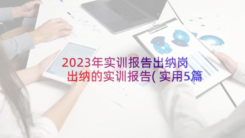 2023年实训报告出纳岗 出纳的实训报告(实用5篇)