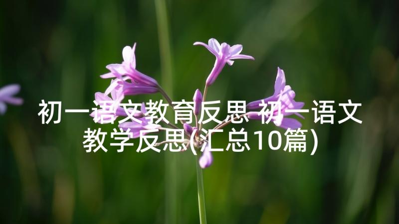 初一语文教育反思 初一语文教学反思(汇总10篇)