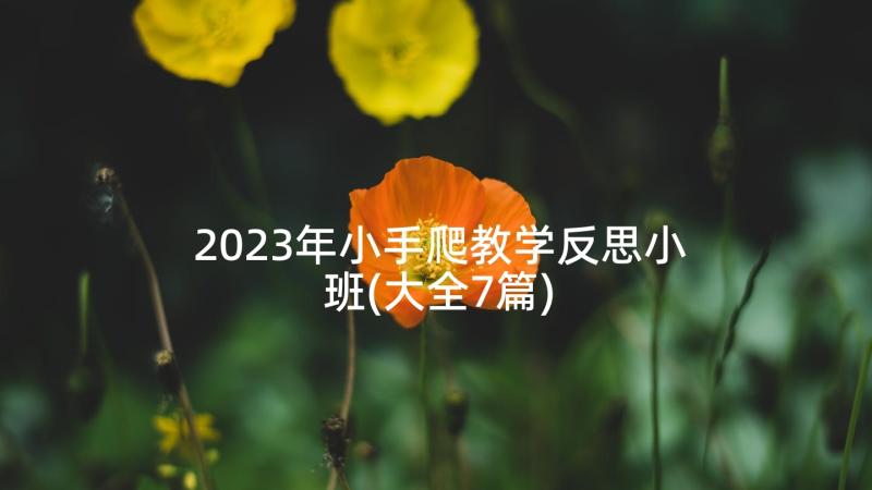 2023年小手爬教学反思小班(大全7篇)