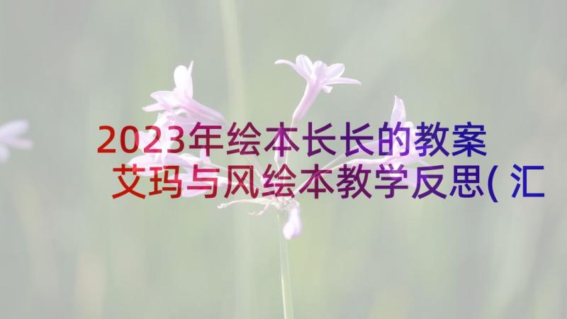 2023年绘本长长的教案 艾玛与风绘本教学反思(汇总5篇)