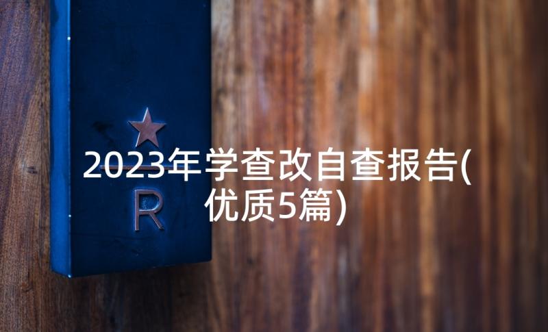 2023年学查改自查报告(优质5篇)