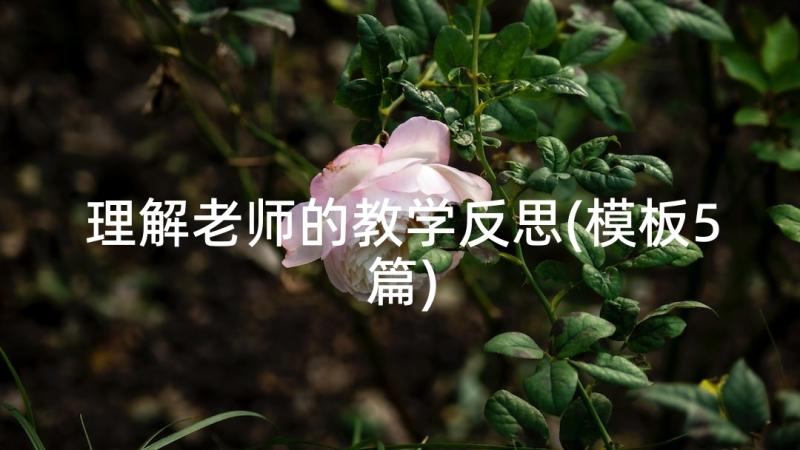 理解老师的教学反思(模板5篇)