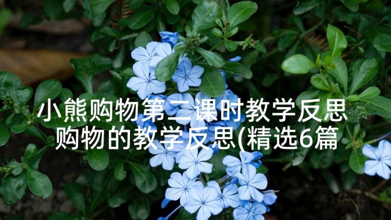 小熊购物第二课时教学反思 购物的教学反思(精选6篇)