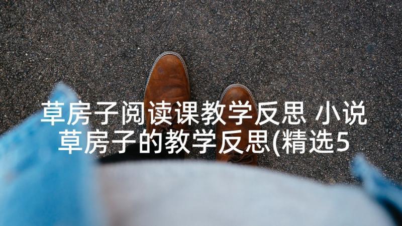 草房子阅读课教学反思 小说草房子的教学反思(精选5篇)