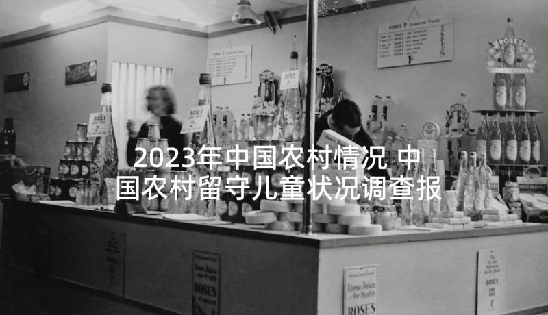 2023年中国农村情况 中国农村留守儿童状况调查报告(通用5篇)