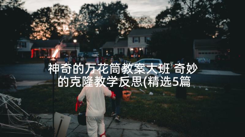 神奇的万花筒教案大班 奇妙的克隆教学反思(精选5篇)