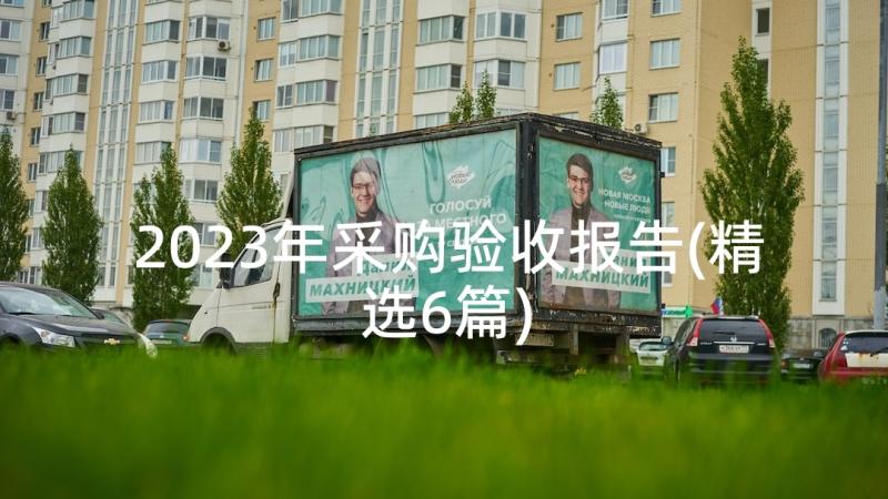 2023年采购验收报告(精选6篇)