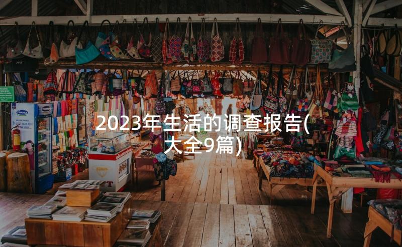 2023年生活的调查报告(大全9篇)