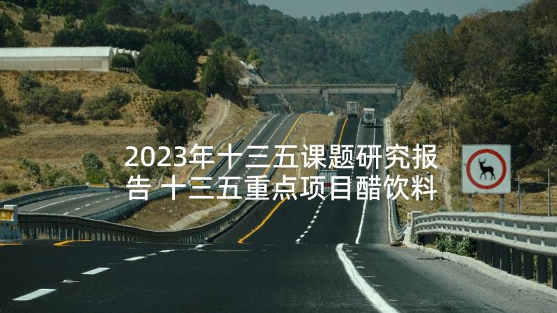 2023年十三五课题研究报告 十三五重点项目醋饮料项目可行性研究报告(实用5篇)