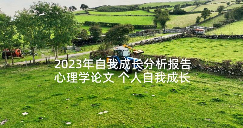 2023年自我成长分析报告心理学论文 个人自我成长分析报告(大全10篇)