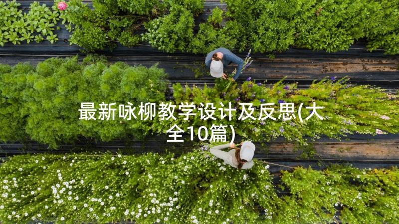 最新咏柳教学设计及反思(大全10篇)