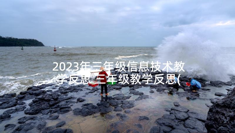 2023年三年级信息技术教学反思 三年级教学反思(大全9篇)