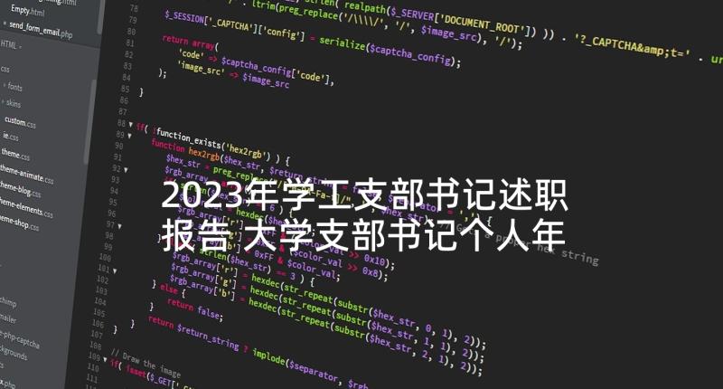 2023年学工支部书记述职报告 大学支部书记个人年度工作述职报告(通用5篇)