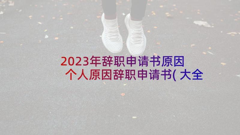 2023年辞职申请书原因 个人原因辞职申请书(大全6篇)