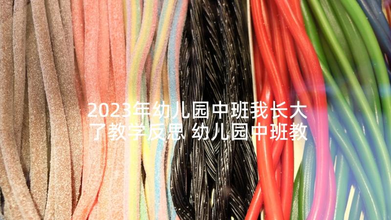 2023年幼儿园中班我长大了教学反思 幼儿园中班教学反思(通用7篇)