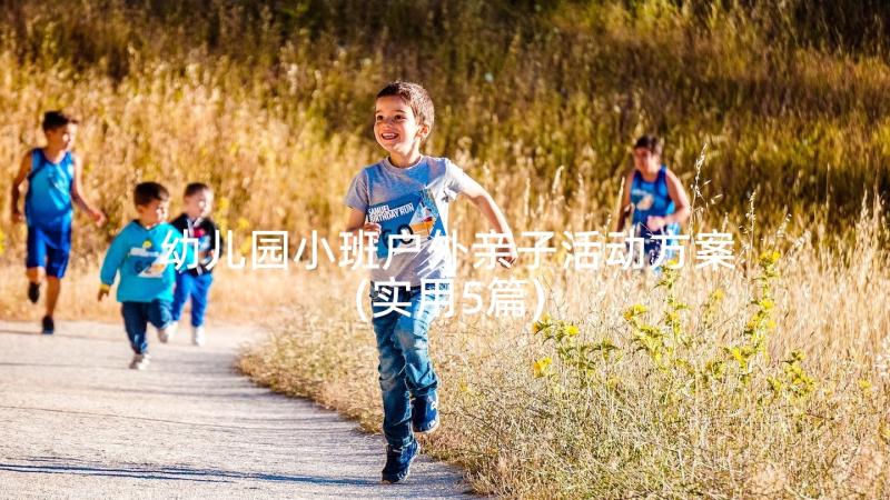 幼儿园小班户外亲子活动方案(实用5篇)