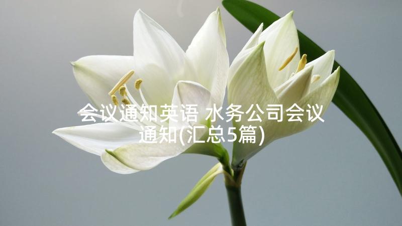 会议通知英语 水务公司会议通知(汇总5篇)