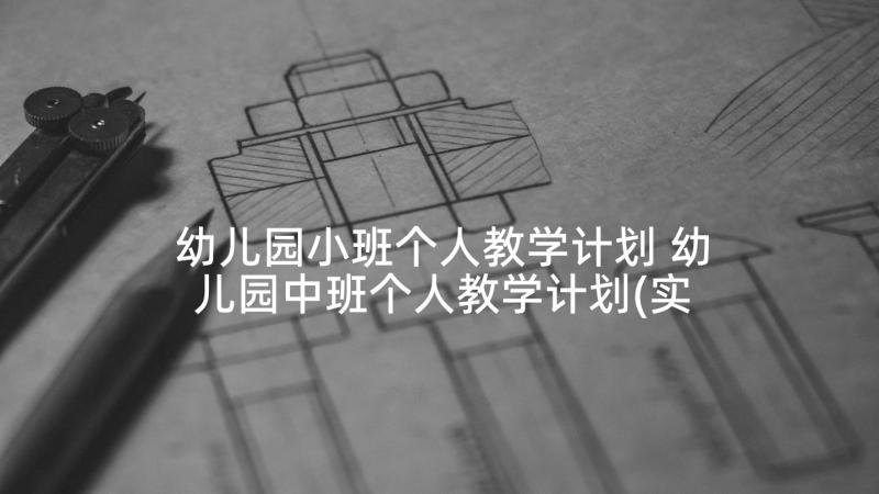 幼儿园小班个人教学计划 幼儿园中班个人教学计划(实用8篇)