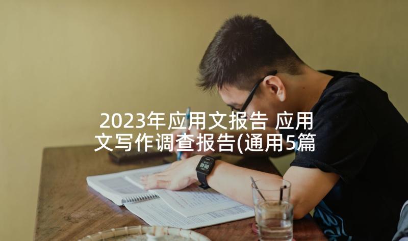 2023年应用文报告 应用文写作调查报告(通用5篇)
