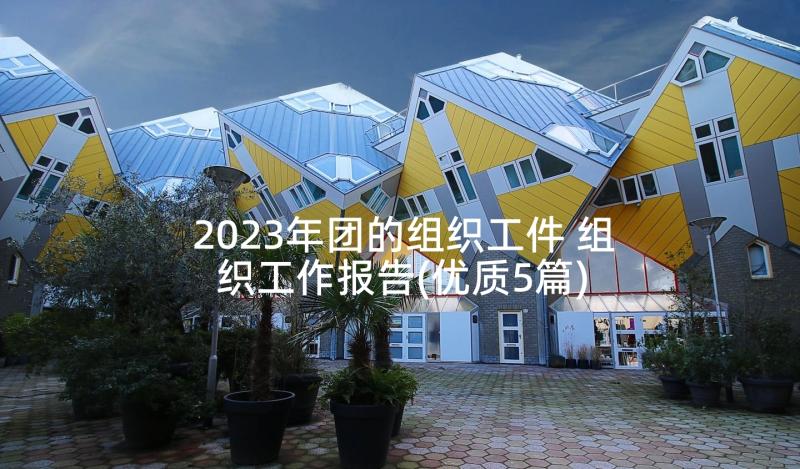 2023年团的组织工件 组织工作报告(优质5篇)