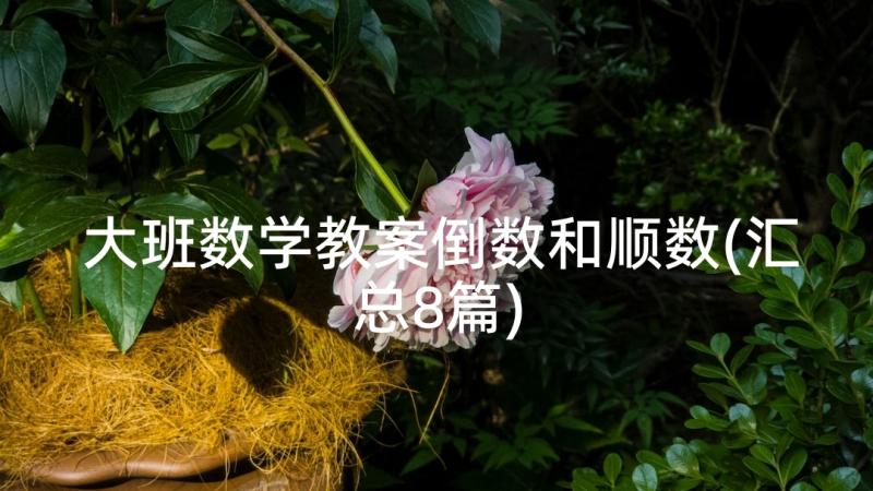 大班数学教案倒数和顺数(汇总8篇)