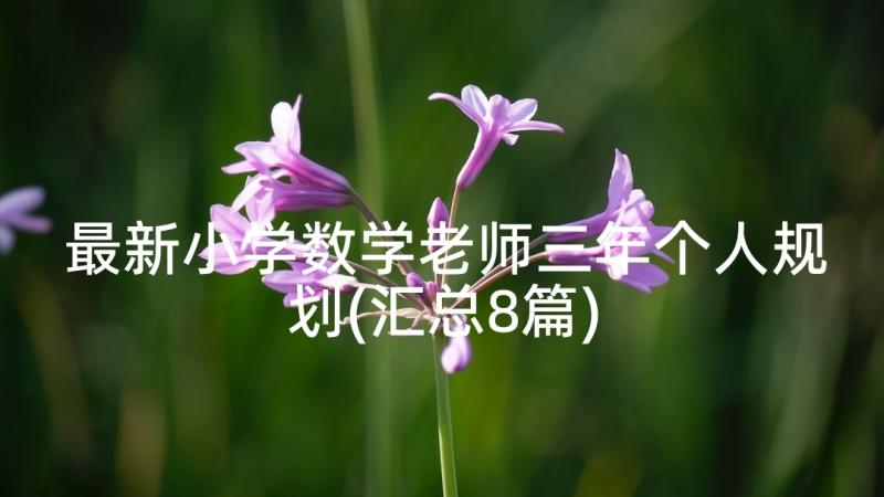 最新小学数学老师三年个人规划(汇总8篇)