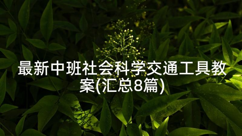 最新中班社会科学交通工具教案(汇总8篇)