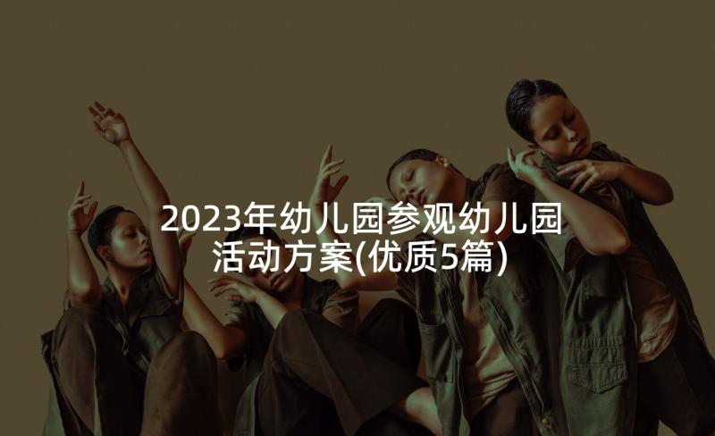 2023年幼儿园参观幼儿园活动方案(优质5篇)