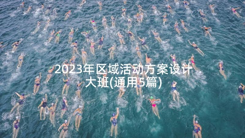 2023年区域活动方案设计大班(通用5篇)