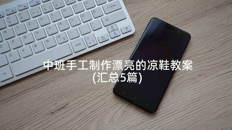 中班手工制作漂亮的凉鞋教案(汇总5篇)