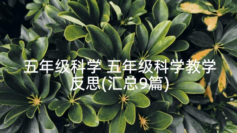 五年级科学 五年级科学教学反思(汇总9篇)