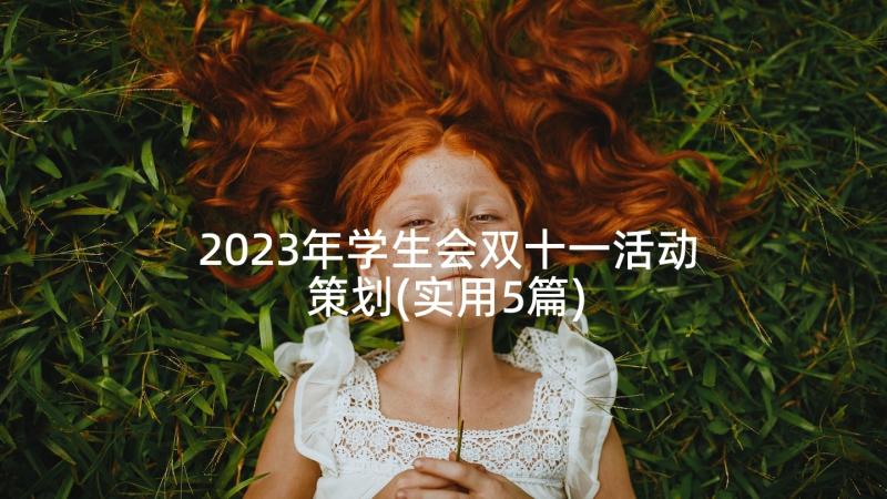 2023年学生会双十一活动策划(实用5篇)