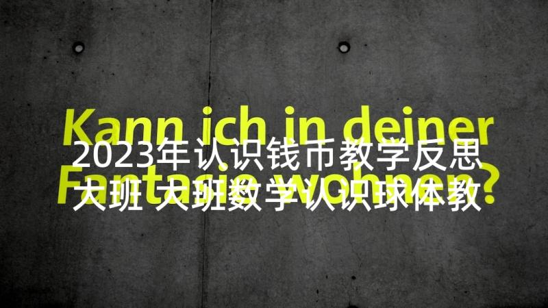 2023年认识钱币教学反思大班 大班数学认识球体教学反思(通用5篇)