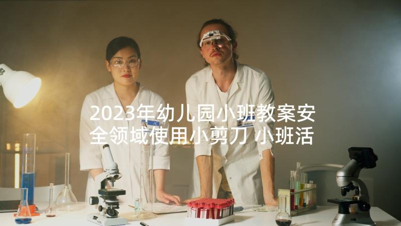 2023年幼儿园小班教案安全领域使用小剪刀 小班活动教研心得体会(优秀9篇)