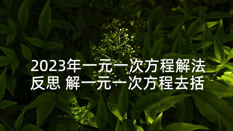 2023年一元一次方程解法反思 解一元一次方程去括号教学反思(汇总7篇)